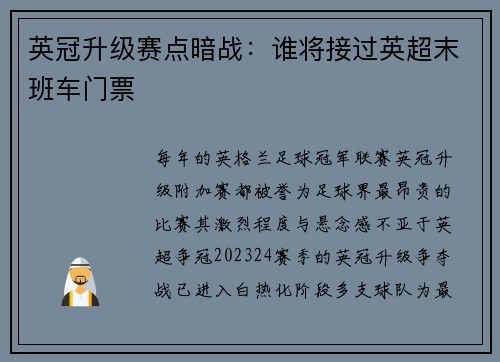 英冠升级赛点暗战：谁将接过英超末班车门票