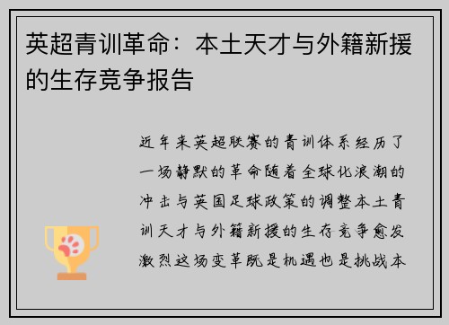 英超青训革命：本土天才与外籍新援的生存竞争报告