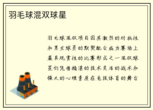 羽毛球混双球星